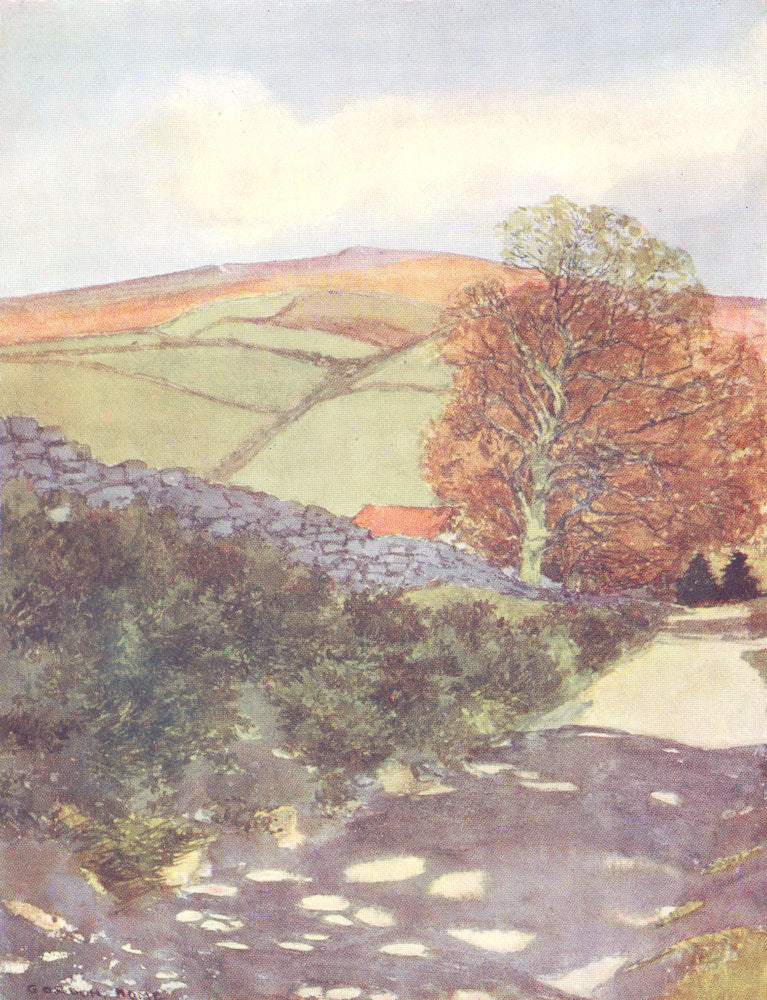 YORKS. The Cleveland Hills. A Golden afternoon 1908 antique print picture